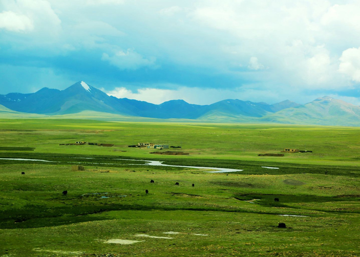 Qiangtang Grassland